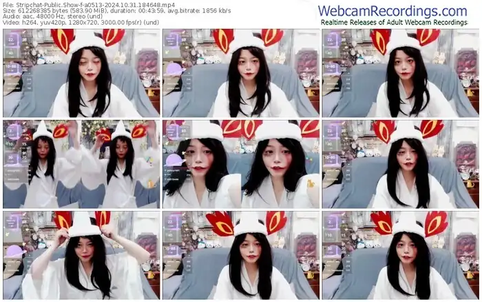 2024/10/31/stripchat-a0513-18-46-48