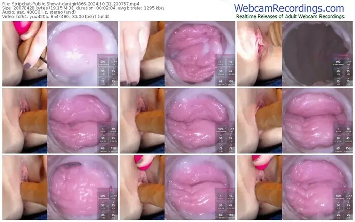 2024/10/31/stripchat-danigirl866-20-07-57