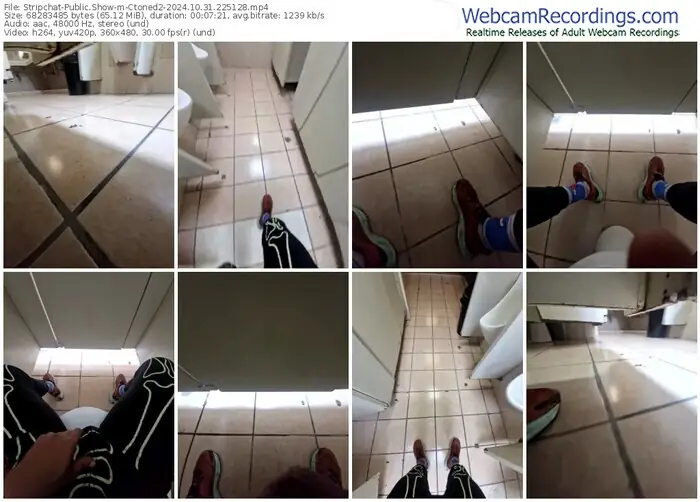 2024/10/31/stripchat-ctoned2-22-51-28