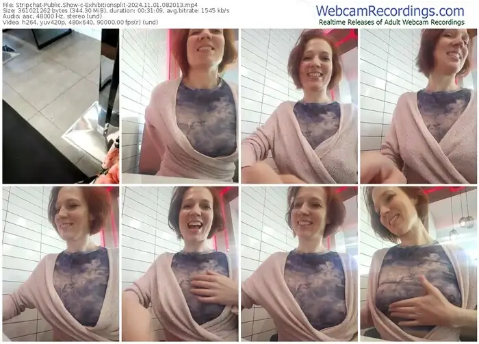 2024/11/01/stripchat-exhibitionsplit-08-20-13