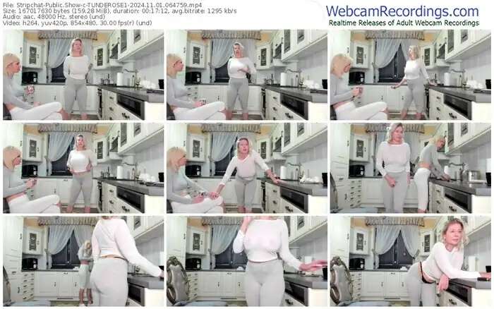 2024/11/01/stripchat-tunderose1-06-47-59