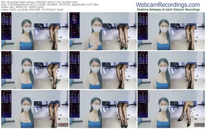 2024/11/01/stripchat-tt50256-01-29-44