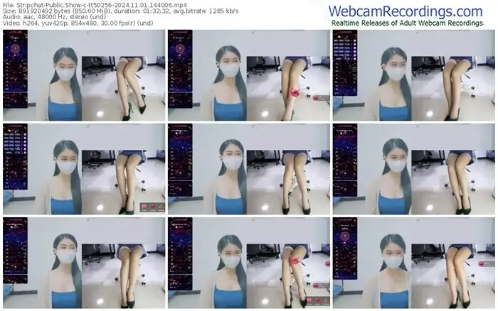 2024/11/01/stripchat-tt50256-14-40-06