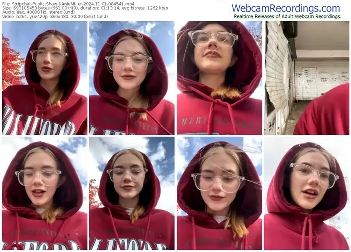 2024/11/01/stripchat-aniemiller-08-45-41