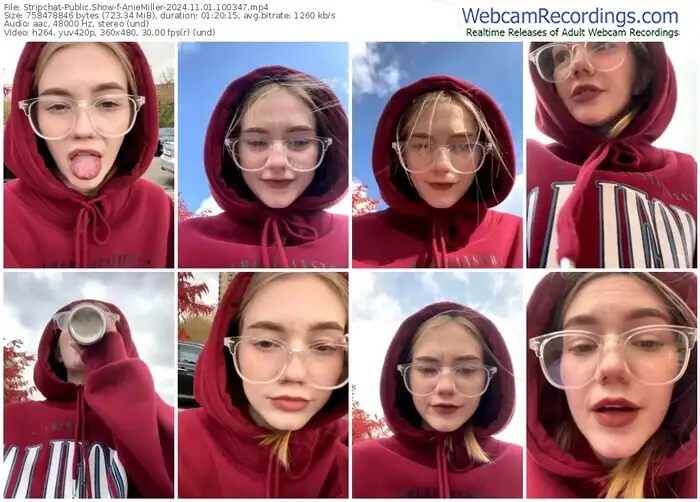 2024/11/01/stripchat-aniemiller-10-03-47