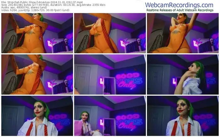 2024/11/01/stripchat-ariavoss-03-11-37