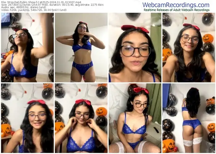 2024/11/01/stripchat-cat2525-01-30-07