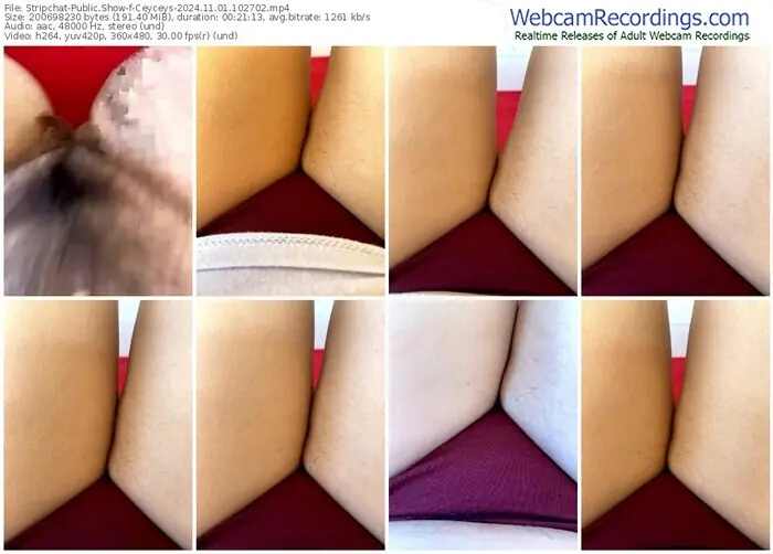 2024/11/01/stripchat-ceyceys-10-27-02