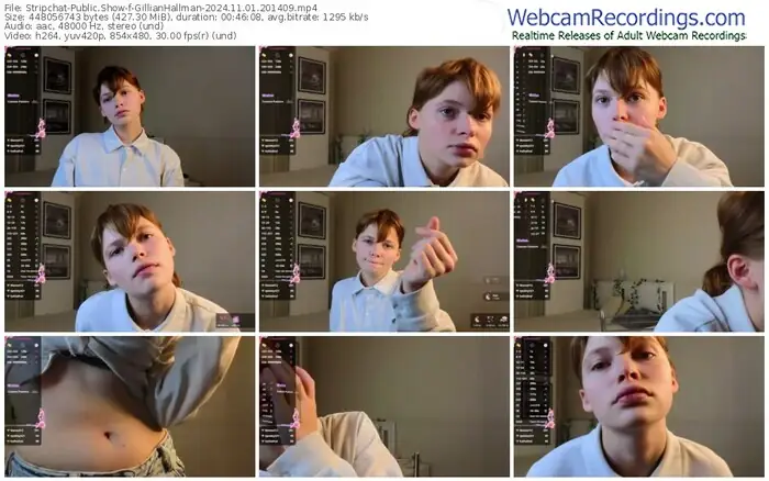2024/11/01/stripchat-gillianhallman-20-14-09