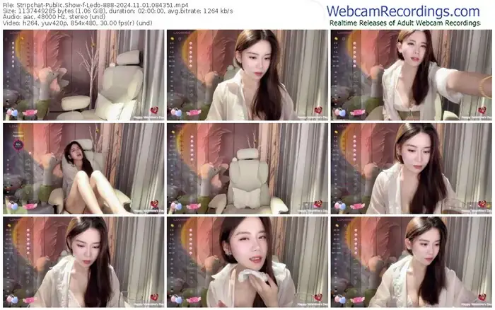 2024/11/01/stripchat-ledo-888-08-43-51