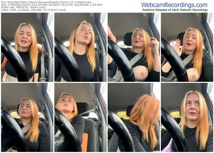 2024/11/01/stripchat-obviouslypeachy-12-08-05