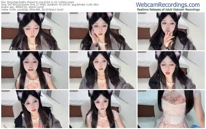 2024/11/01/stripchat-q-ing-13-39-12