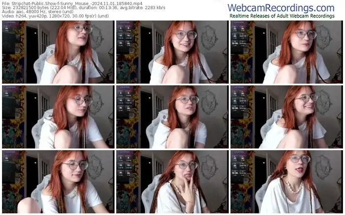 2024/11/01/stripchat-sunny_mouse_-18-58-40