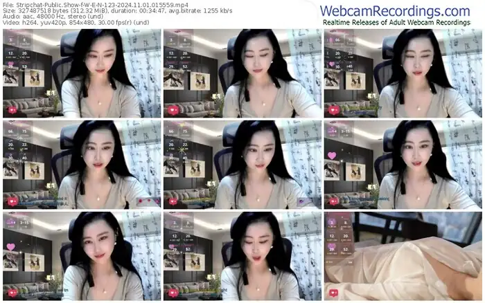 2024/11/01/stripchat-w-e-n-123-01-55-59