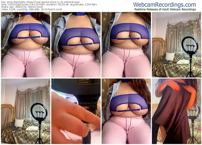 2024/11/01/stripchat-hoot-anime-06-33-18