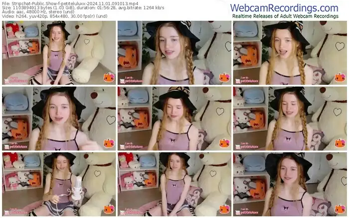 2024/11/01/stripchat-petiteluluxx-09-10-13