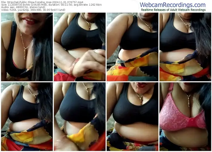 2024/11/01/stripchat-sneha_rose-07-47-57
