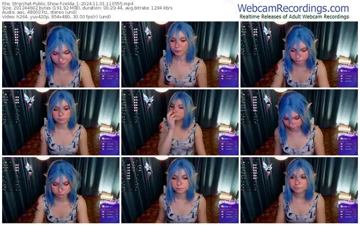 2024/11/01/stripchat-zelda_1-11-05-55