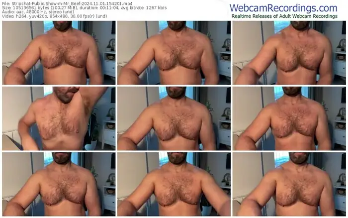 2024/11/01/stripchat-mr_beef-15-42-01