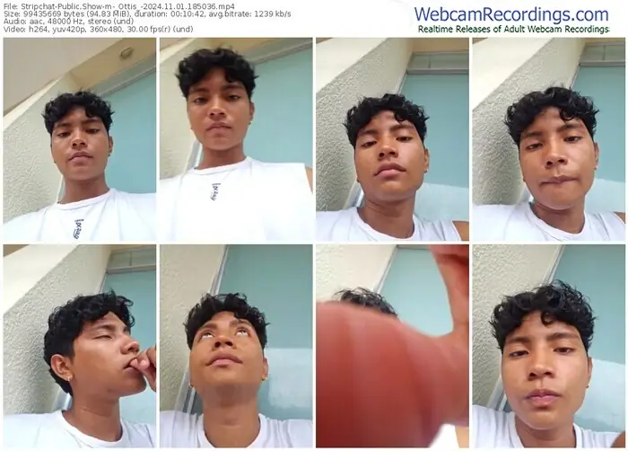 2024/11/01/stripchat-_ottis_-18-50-36