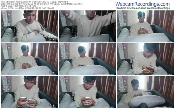 2024/11/01/stripchat-w156156-17-44-10