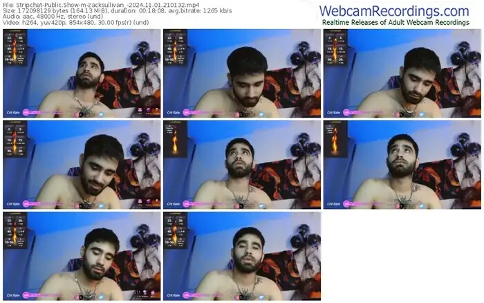 2024/11/01/stripchat-zacksullivan_-21-01-32
