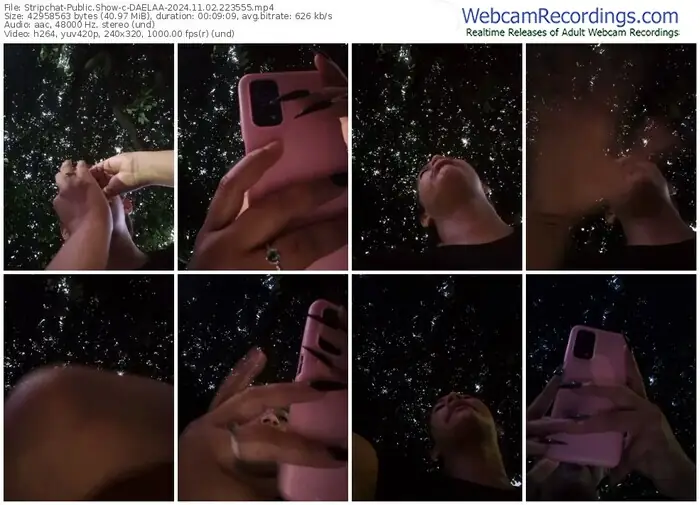 2024/11/02/stripchat-daelaa-22-35-55