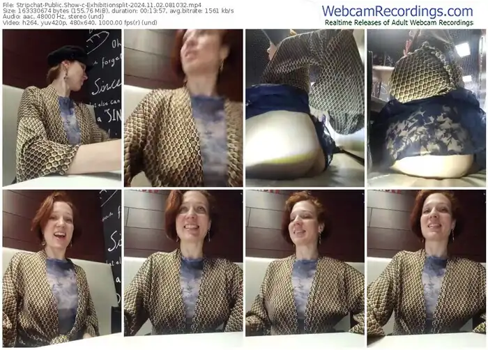 2024/11/02/stripchat-exhibitionsplit-08-10-32