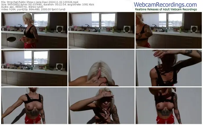 2024/11/02/stripchat-jane-davi-10-33-24