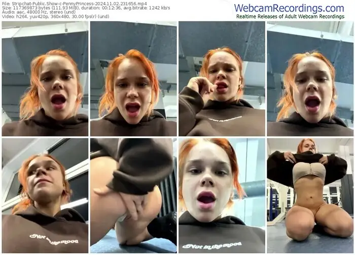 2024/11/02/stripchat-pennyprincess-23-16-56