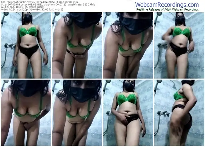 2024/11/02/stripchat-slzaara-12-03-07