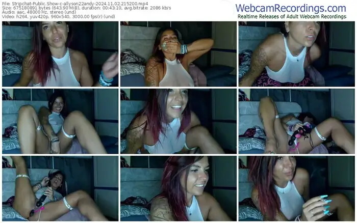 2024/11/02/stripchat-allyson22andy-21-52-00