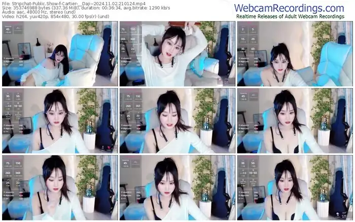 2024/11/02/stripchat-cartier-__daji--21-01-24