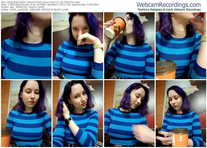 2024/11/02/stripchat-frost_foxy-05-42-29