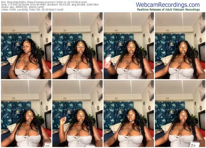 2024/11/02/stripchat-honeycoco0211-01-29-14