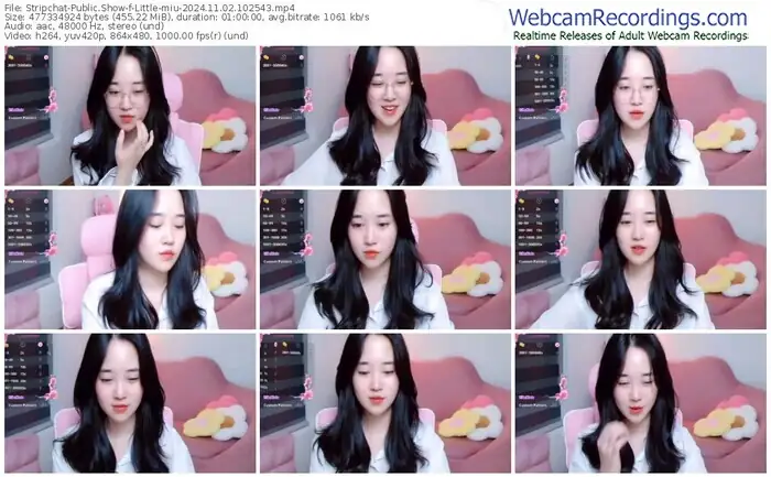 2024/11/02/stripchat-little-miu-10-25-43