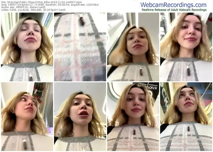 2024/11/02/stripchat-miss_elfie-14-45-07