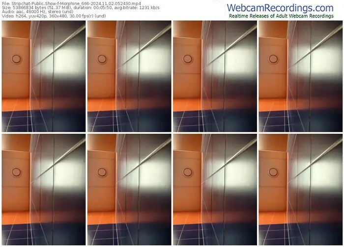 2024/11/02/stripchat-morphine_666-05-24-30