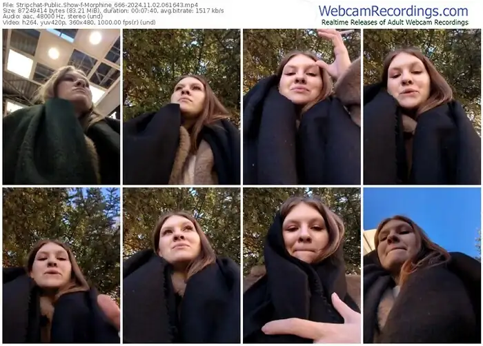 2024/11/02/stripchat-morphine_666-06-16-43