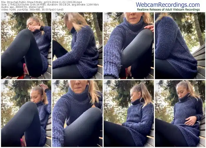 2024/11/02/stripchat-risky_girl23-13-01-28
