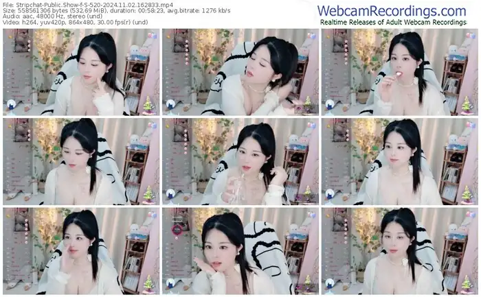 2024/11/02/stripchat-s-520-16-28-33