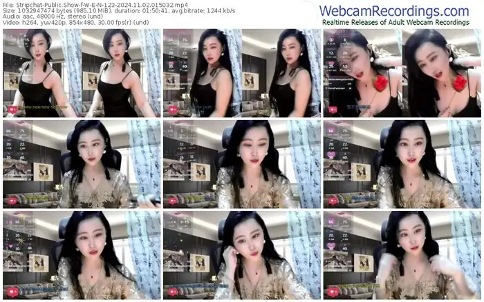 2024/11/02/stripchat-w-e-n-123-01-50-32