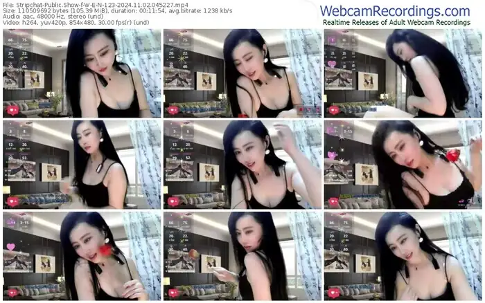 2024/11/02/stripchat-w-e-n-123-04-52-27