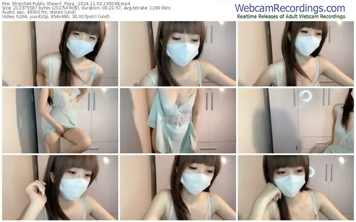 2024/11/02/stripchat-_poya_-19-50-38