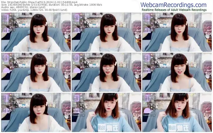 2024/11/02/stripchat-a0513-15-44-08