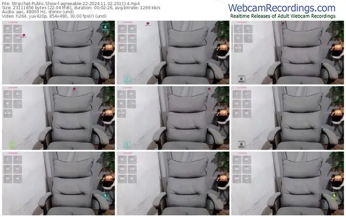 2024/11/02/stripchat-agreeable-22-23-11-14