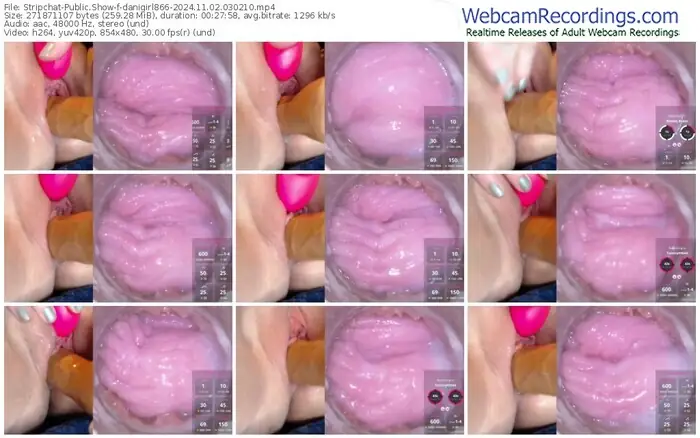 2024/11/02/stripchat-danigirl866-03-02-10