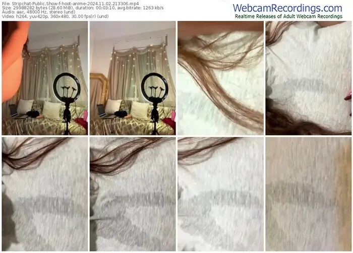 2024/11/02/stripchat-hoot-anime-21-33-06