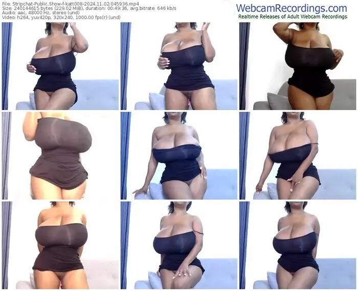 2024/11/02/stripchat-katt008-04-59-36