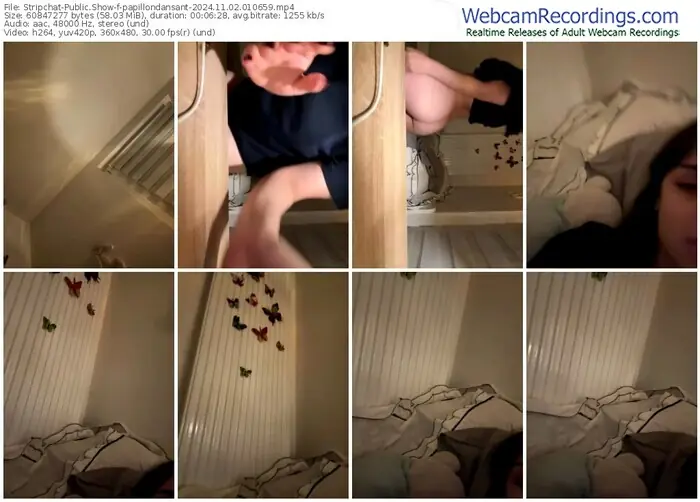 2024/11/02/stripchat-papillondansant-01-06-59